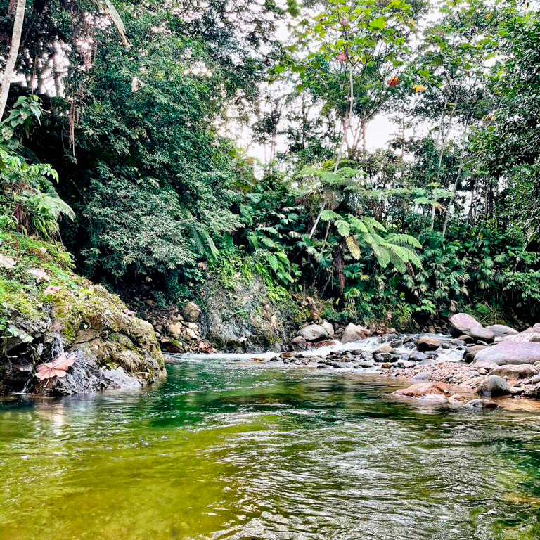 Procesos manufactura cacao